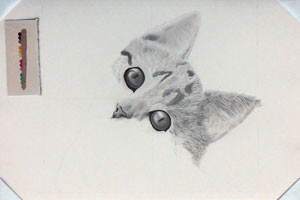 gatto disegno a matita